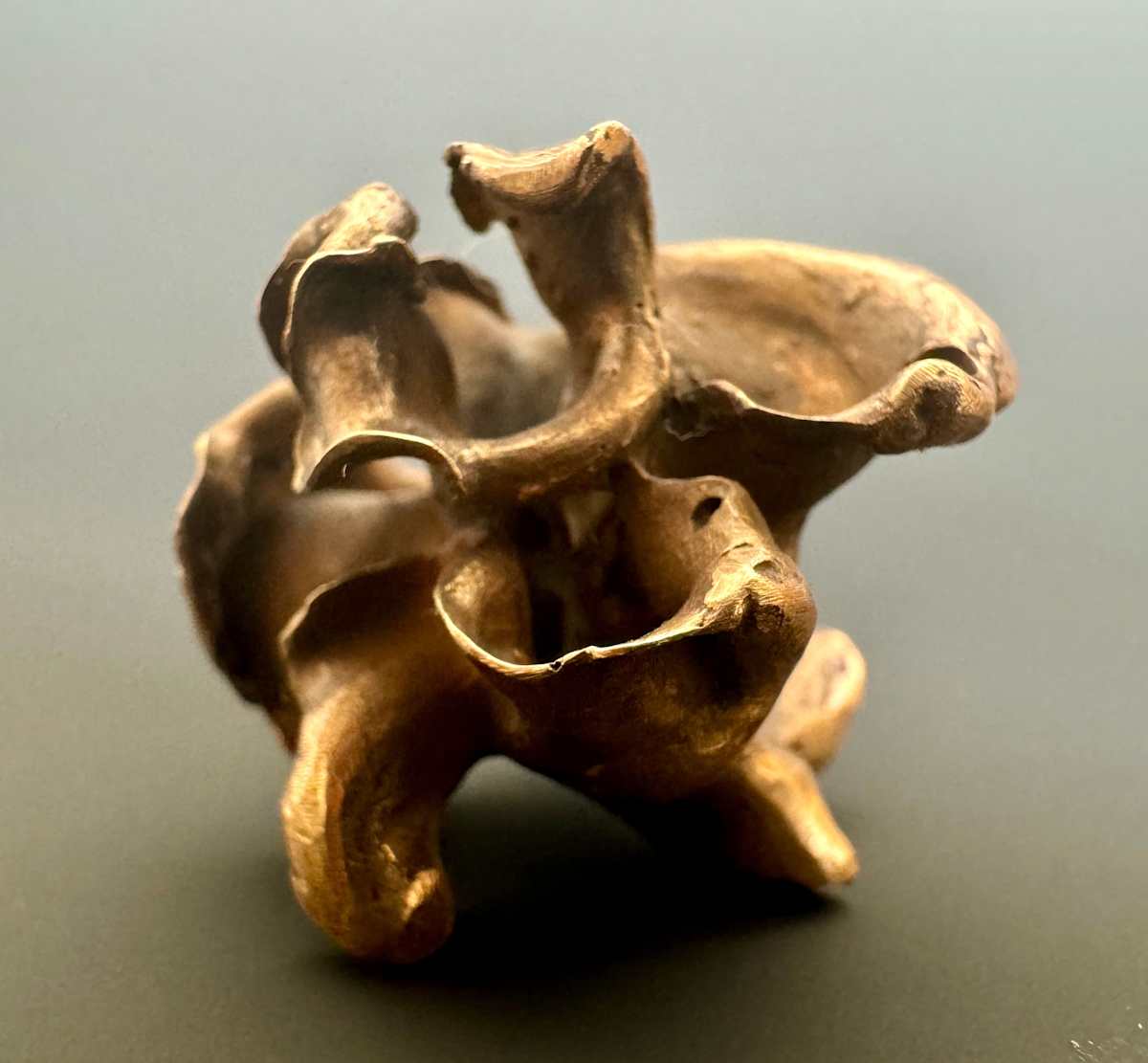 Abstract Series No.7 by Fingertipartstudio 