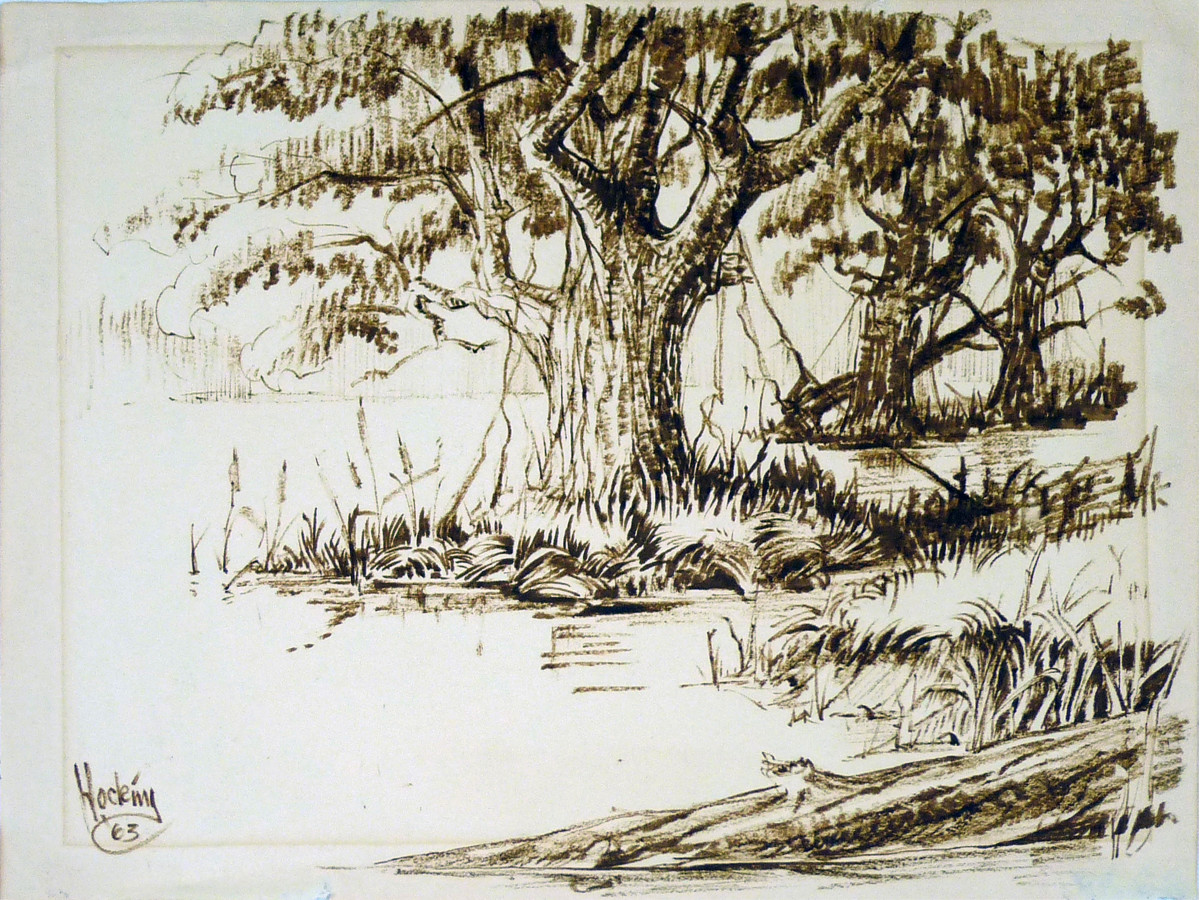 Lakeside by Roy Hocking 