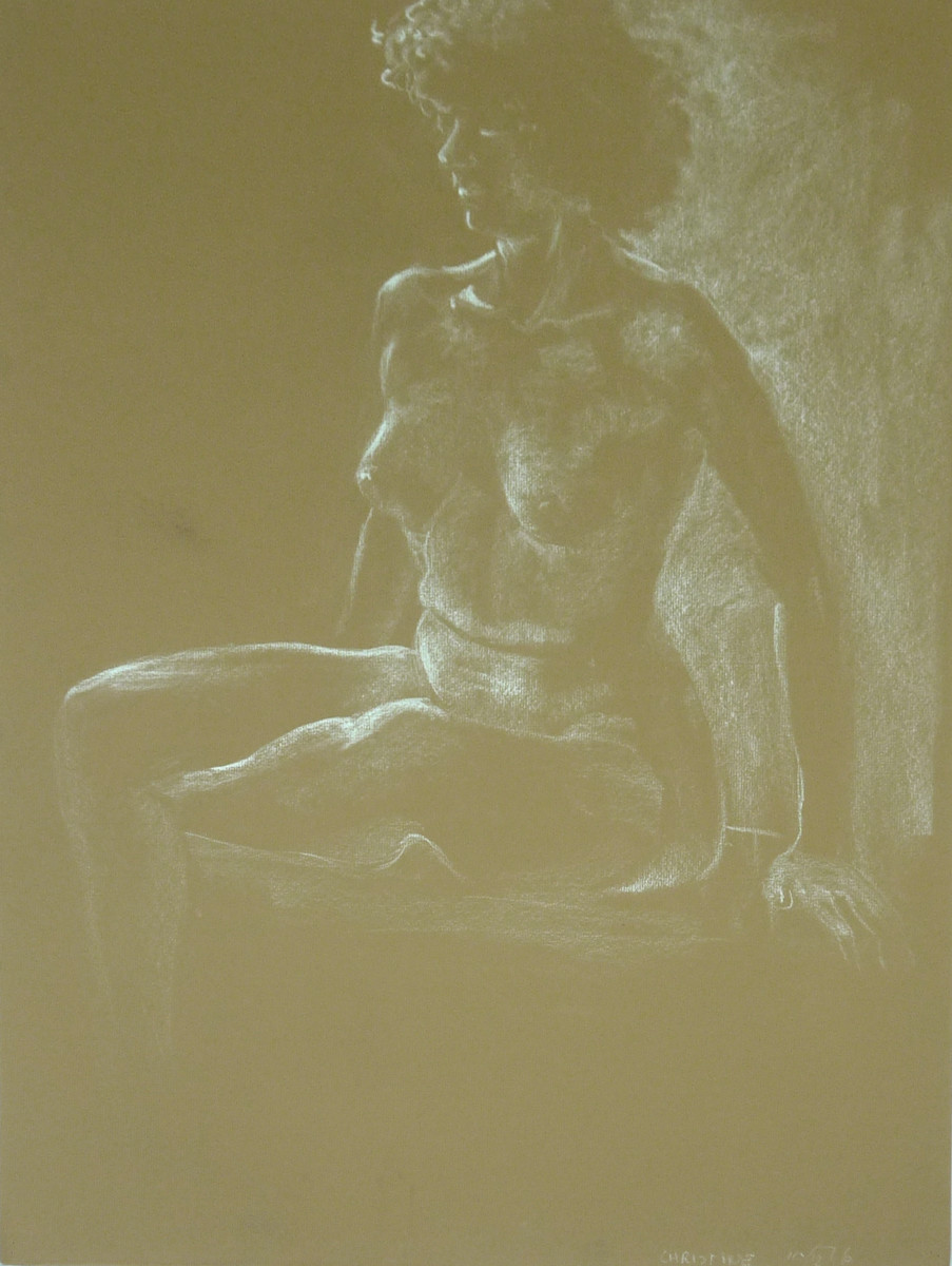 Christine by Roy Hocking 