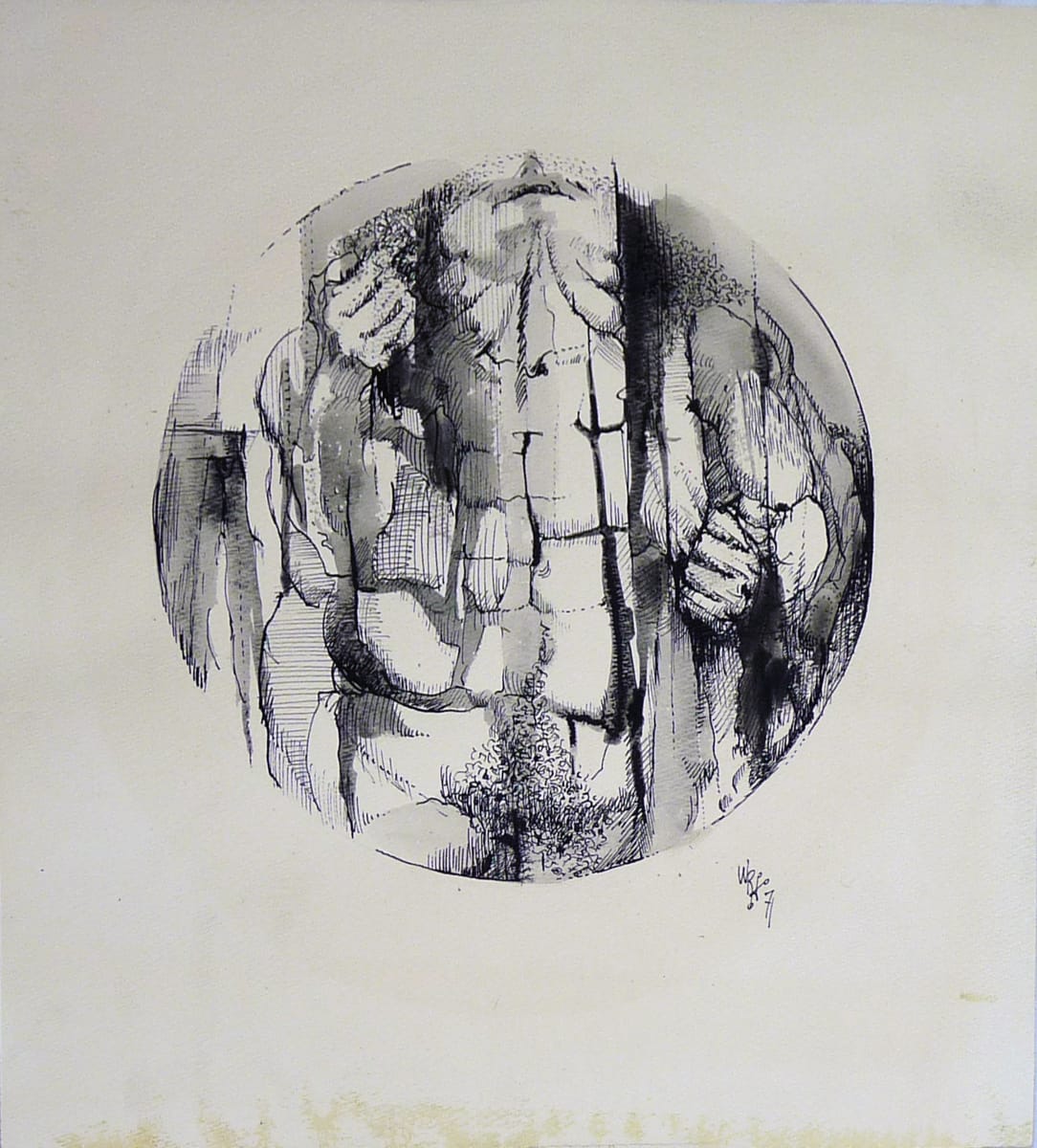 Medallion by Roy Hocking 