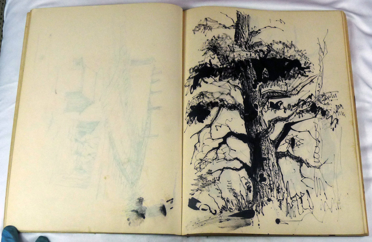 Page 19 & 20, from "Journal #1" by Roy Hocking 
