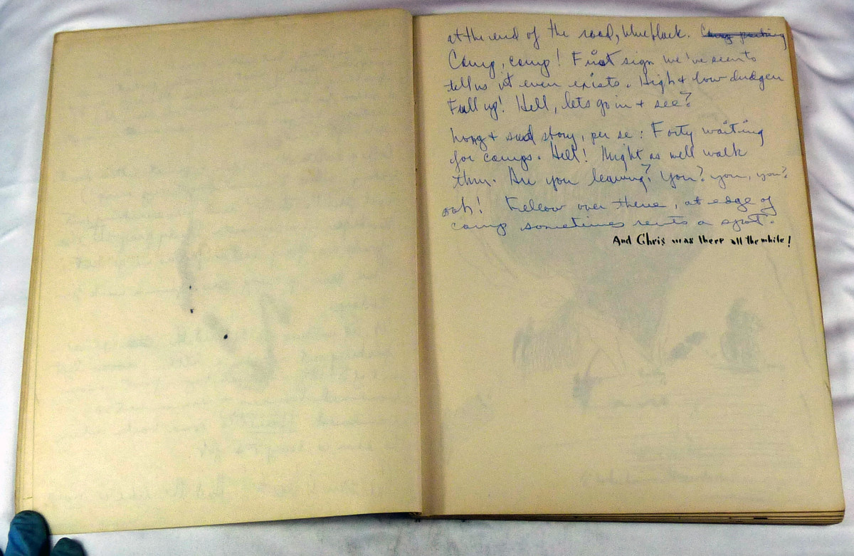 Page 7 & 8, from "Journal #1" by Roy Hocking 