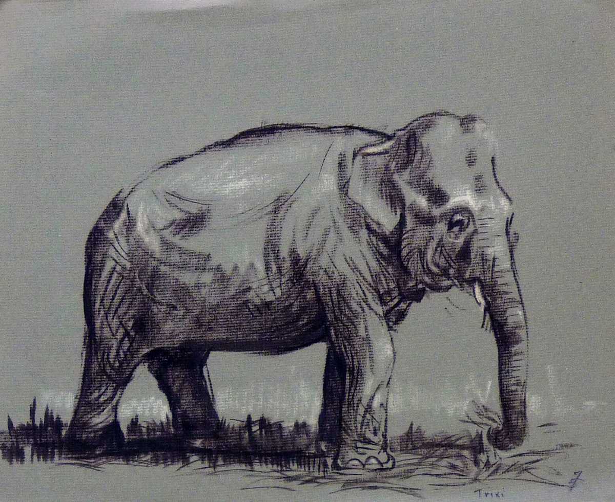Trixi by Roy Hocking, Image 1.