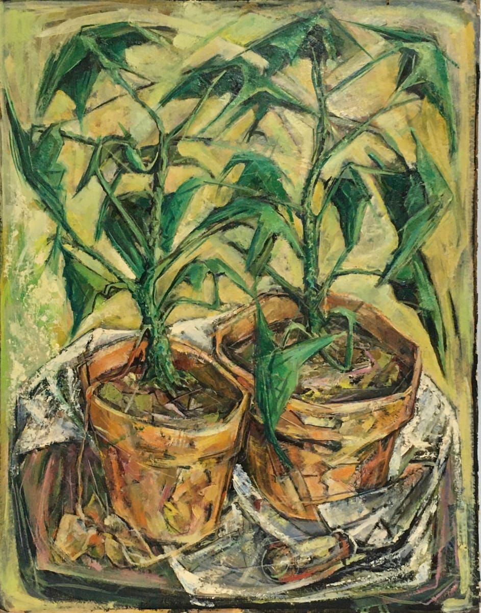 Philodendron by Roy Hocking 