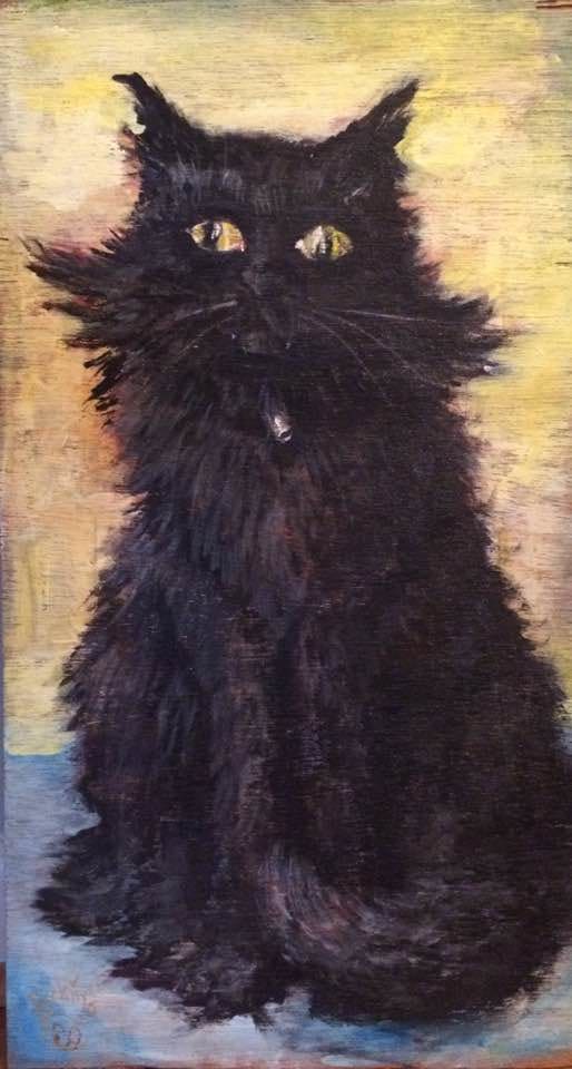 Pooky by Roy Hocking, Image 1.