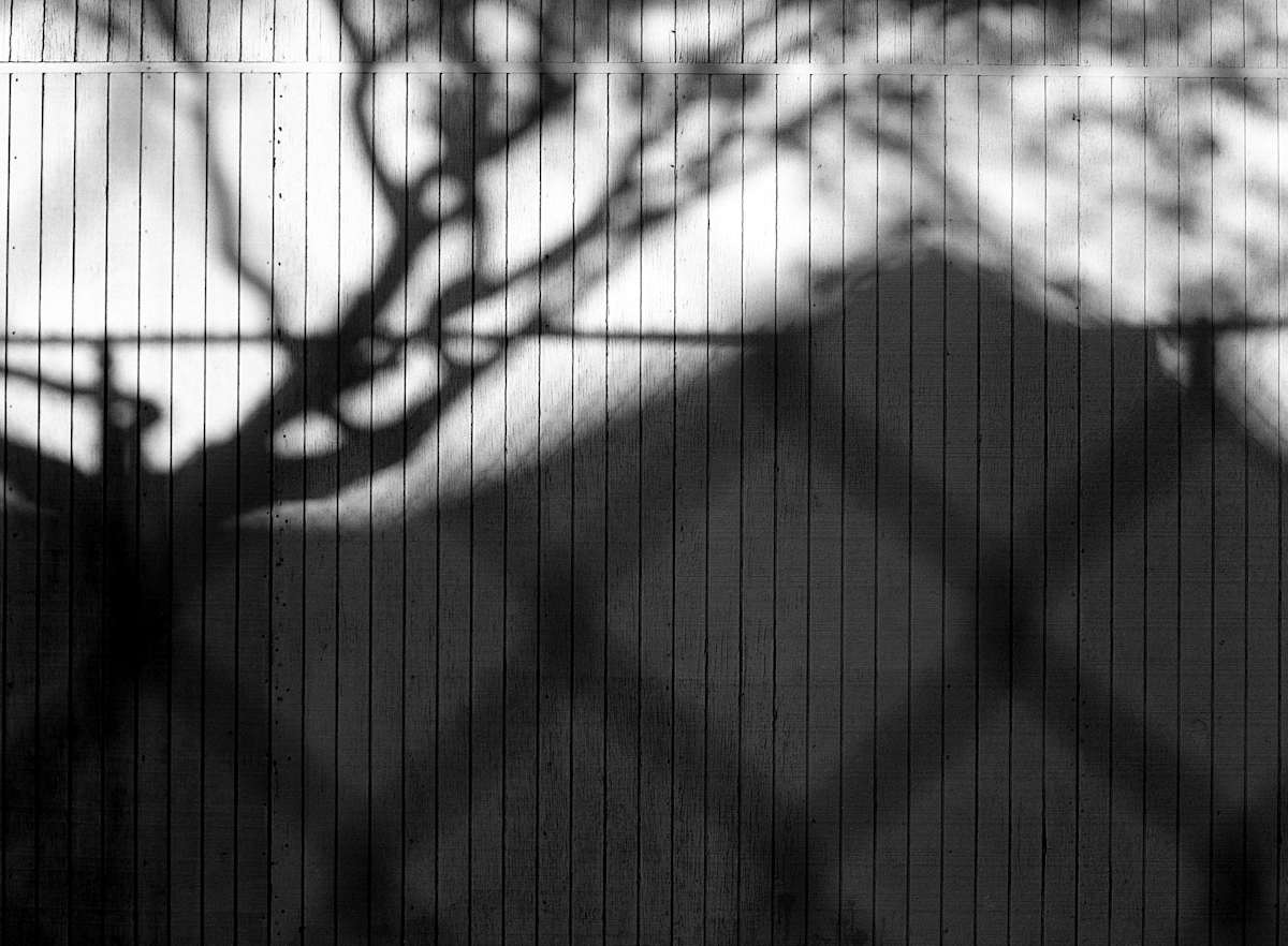 Time Spent Looking at the Shadows by John Batchine, Image 1.
