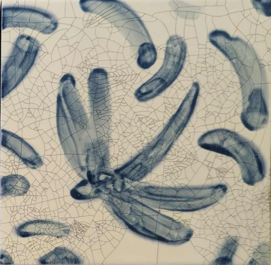 Dauby Delft by JAN FAIREY 