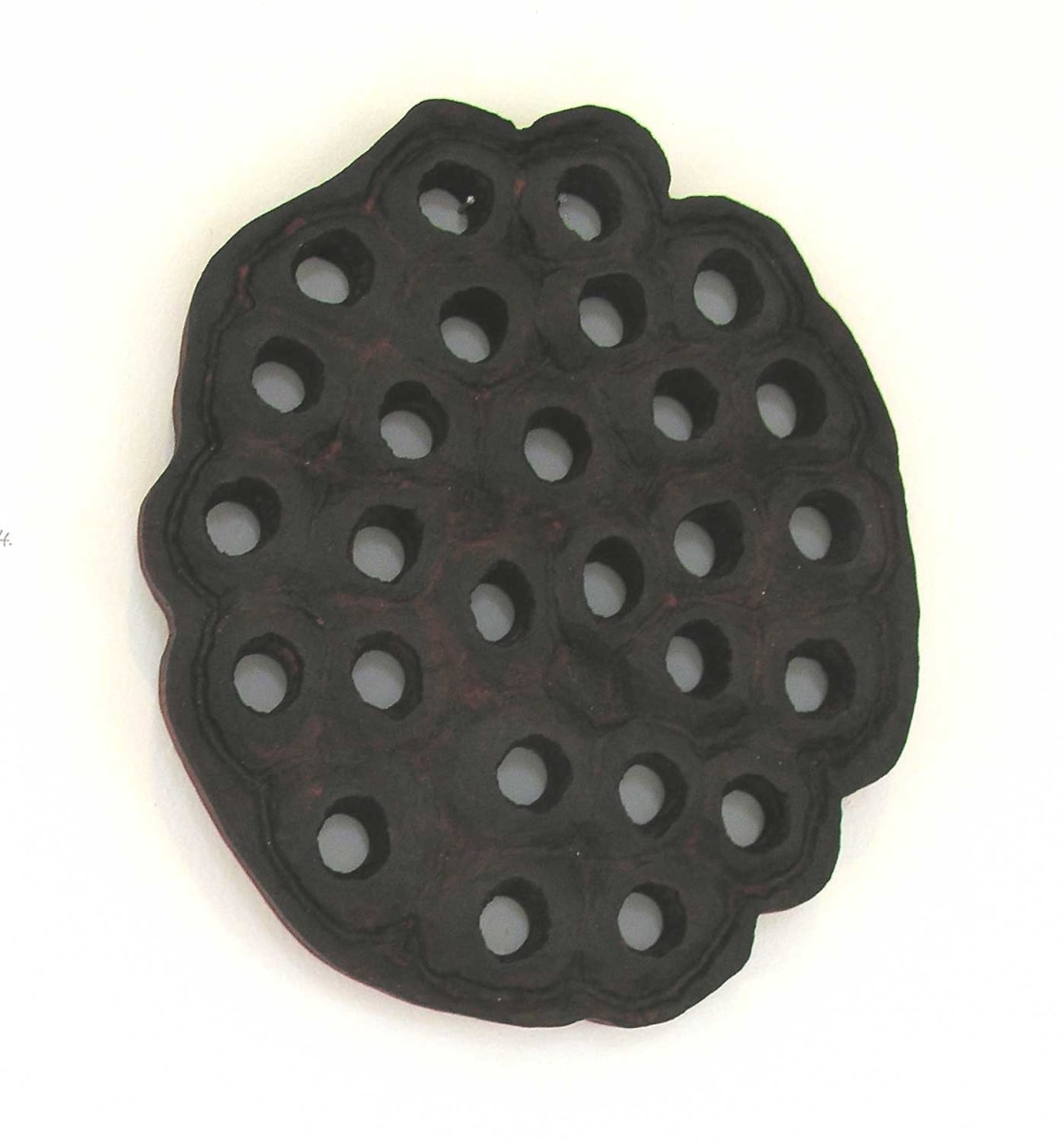 Lotus Slice . 002 by Liz McAuliffe, Image 1.