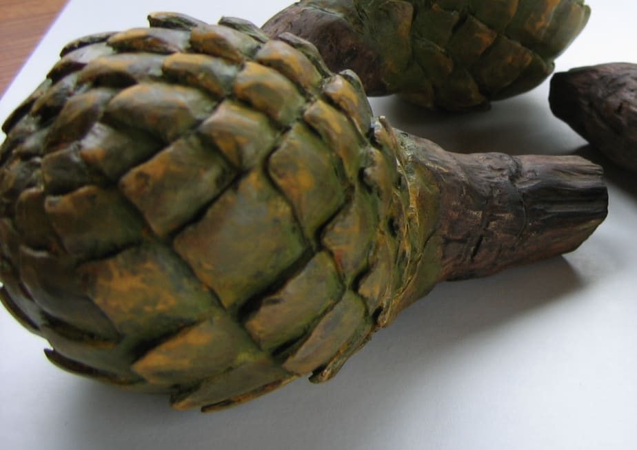 Kauri Cone . 005 by Liz McAuliffe, Image 1.