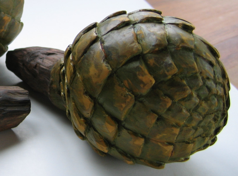 Kauri Cone . 006 by Liz McAuliffe 