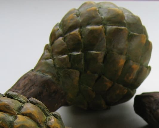 Kauri Cone . 007 by Liz McAuliffe, Image 1.