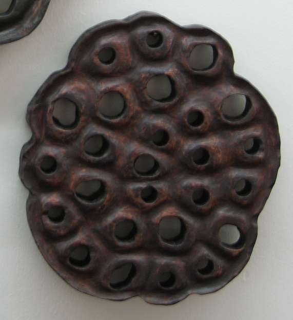 Lotus Slice . 034 by Liz McAuliffe, Image 1.