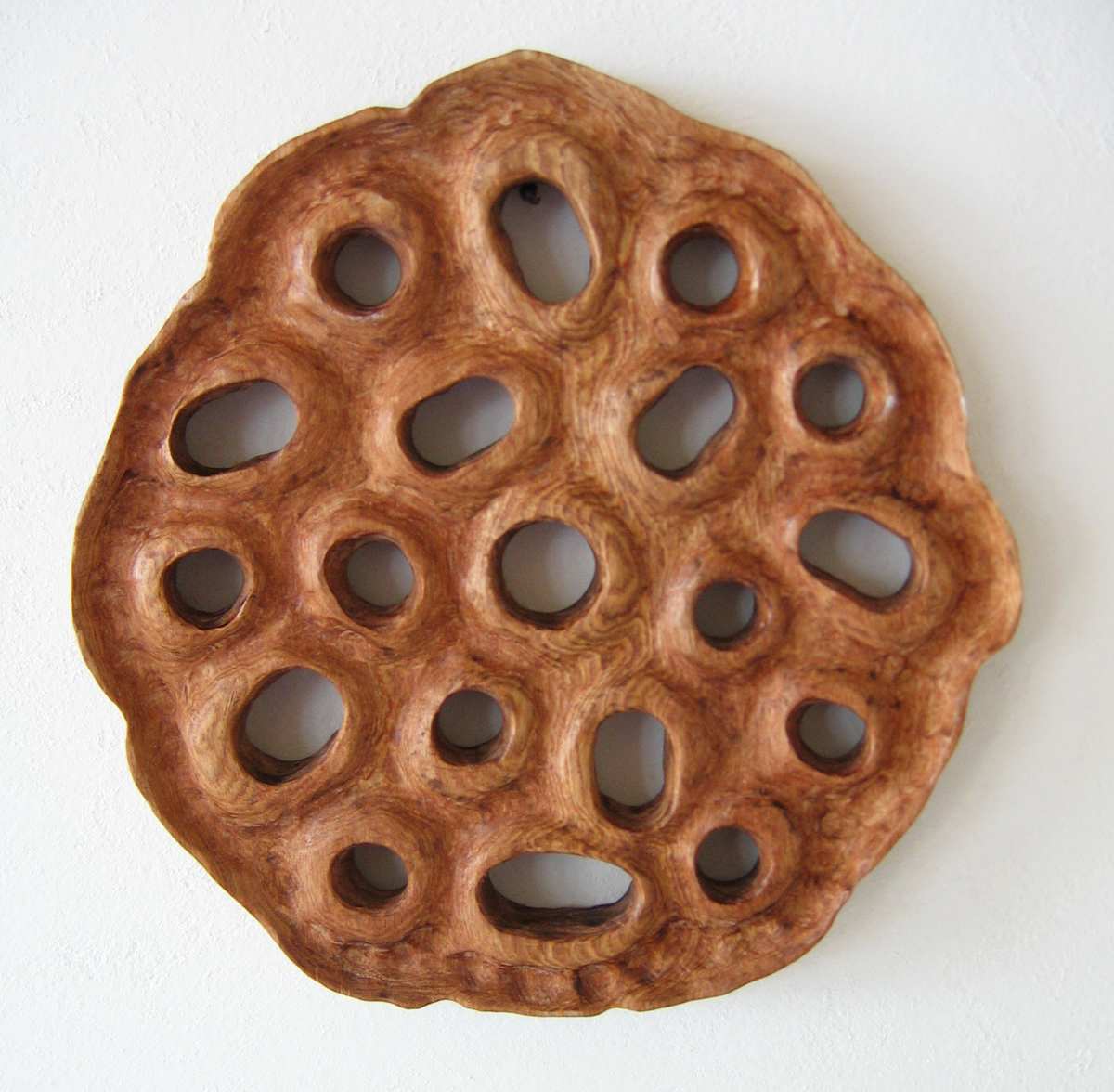 Lotus Slice . 037 by Liz McAuliffe, Image 1.