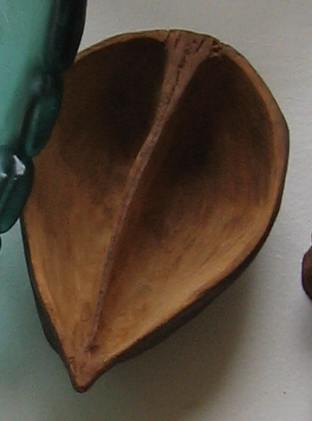 Pawlownia - 072 by Liz McAuliffe, Image 1.