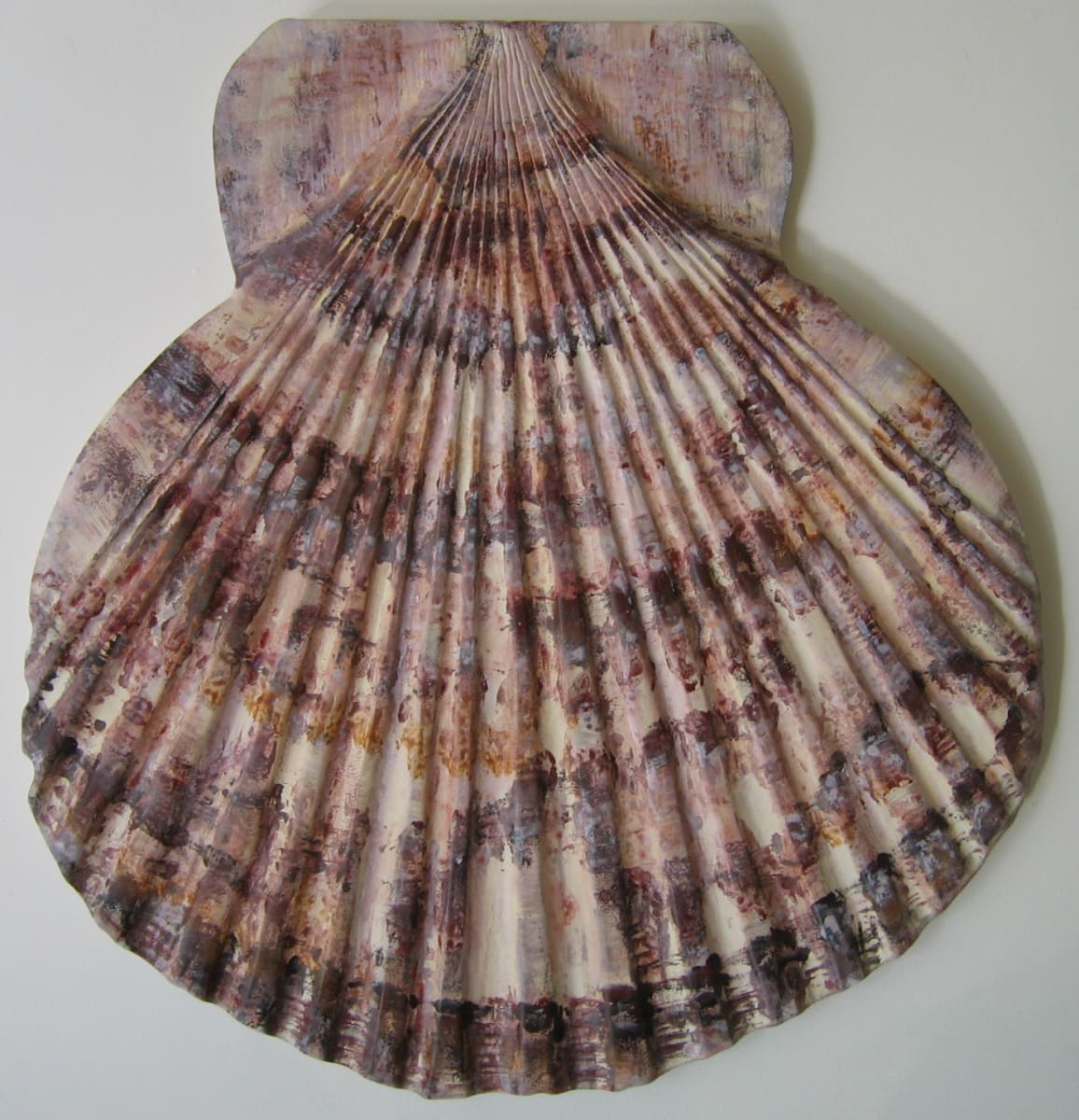 Scallop Shell - Lge .  076 by Liz McAuliffe, Image 1.