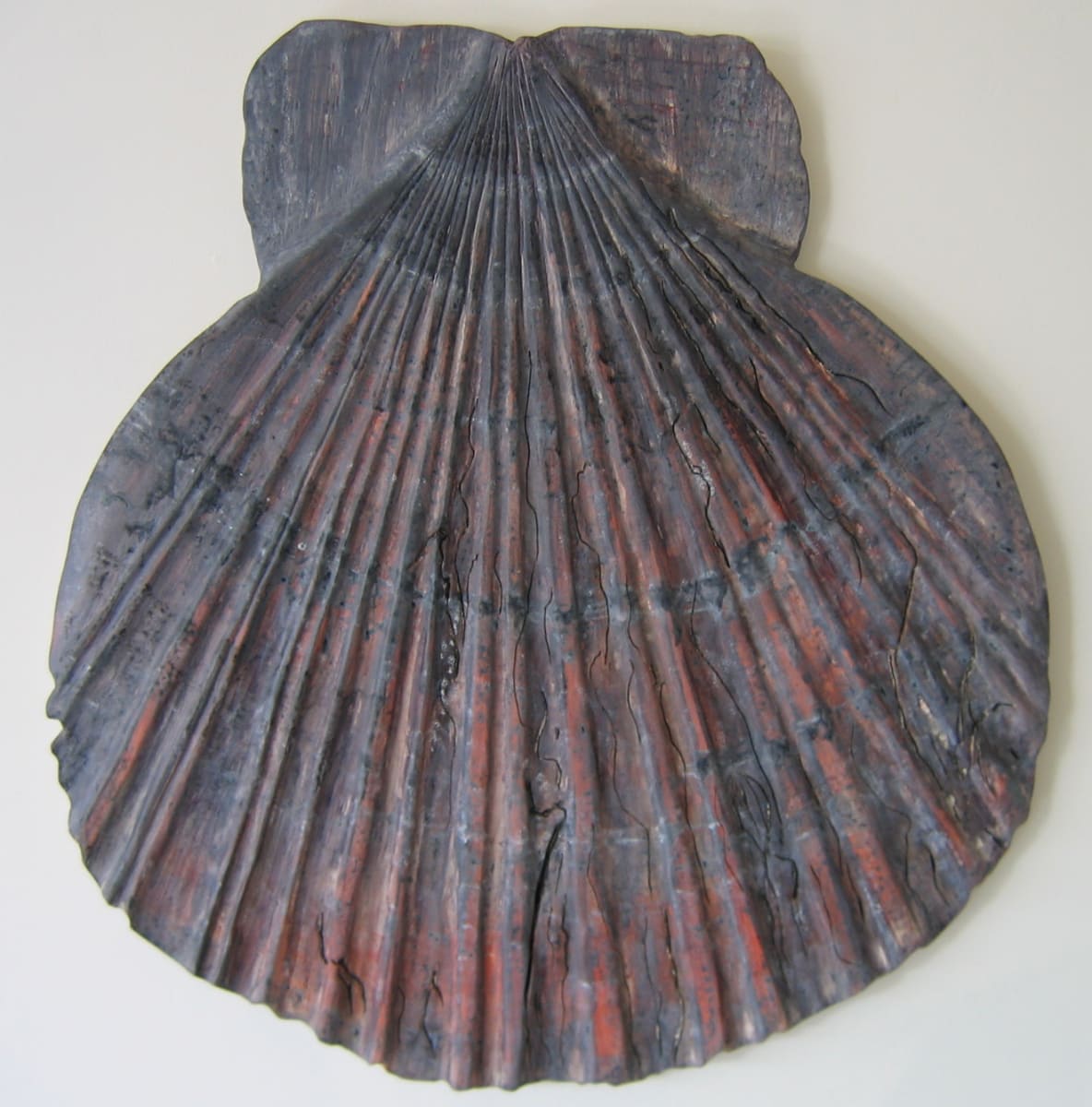 Scallop Shell - Lge .  077 by Liz McAuliffe, Image 1.