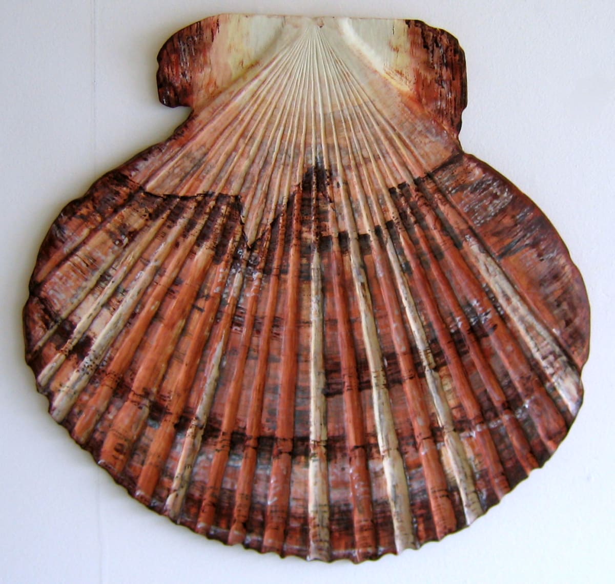 Scallop Shell - Lge .  080 by Liz McAuliffe, Image 1.
