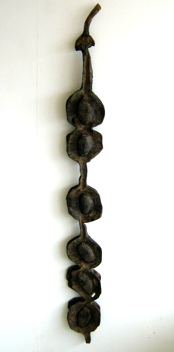 Kowhai Pod . .  (07003) by Liz McAuliffe 