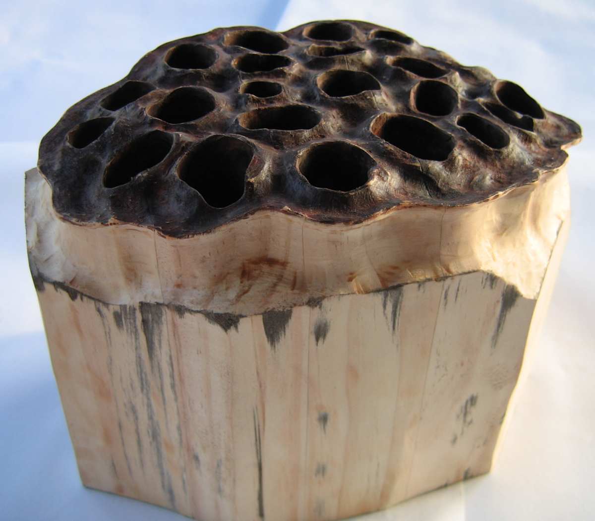 Lotus Block .  (07015) by Liz McAuliffe, Image 1.