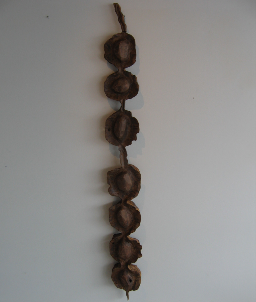 Kowhai Pod . .  (08008) by Liz McAuliffe 
