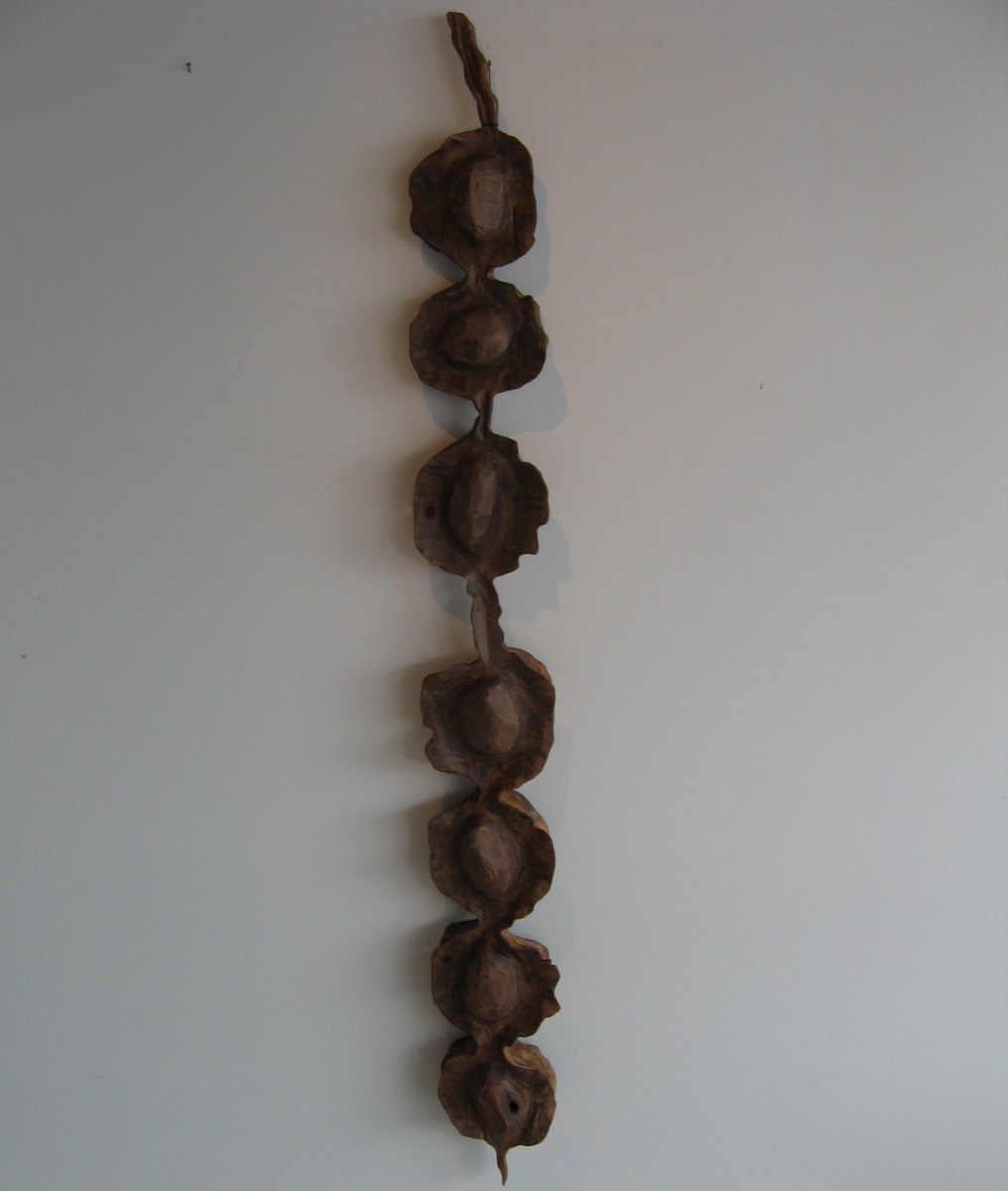 Kowhai Pod . .  (08008) by Liz McAuliffe, Image 1.