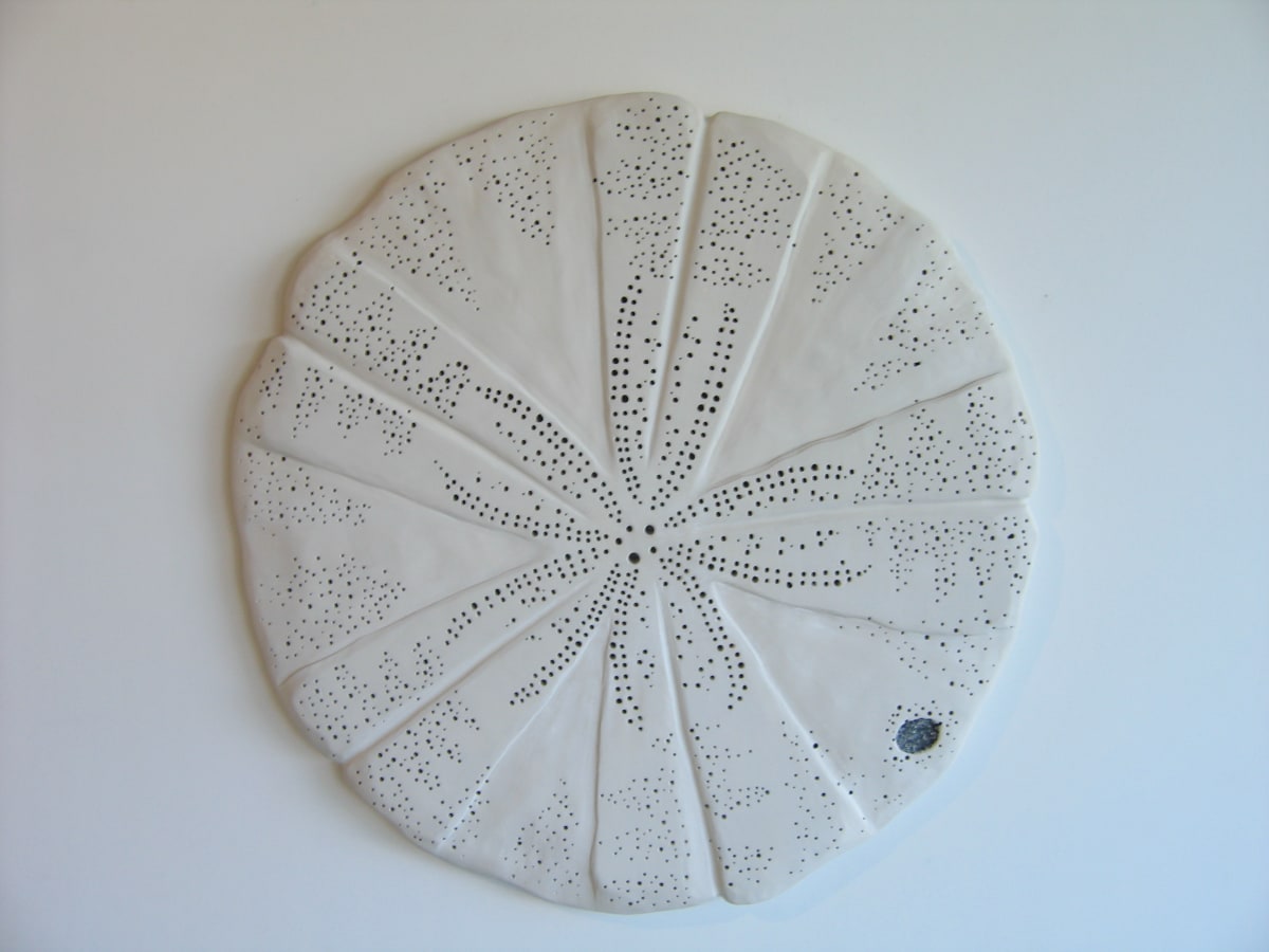 White Works - Cake Urchin . .  (08040) by Liz McAuliffe, Image 1.
