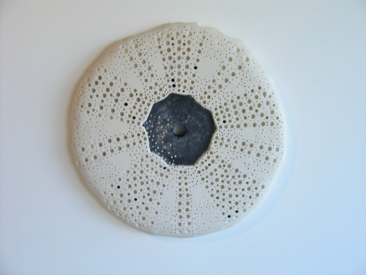 White Works - Common Sea Urchin . .  (08056) by Liz McAuliffe 