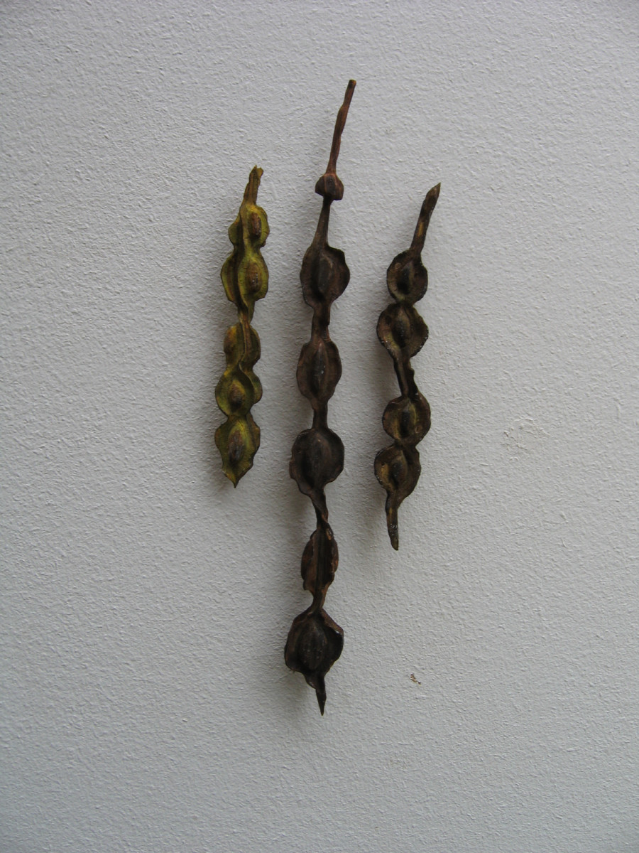 Kowhai Pods .  Pair .  (08082) by Liz McAuliffe 