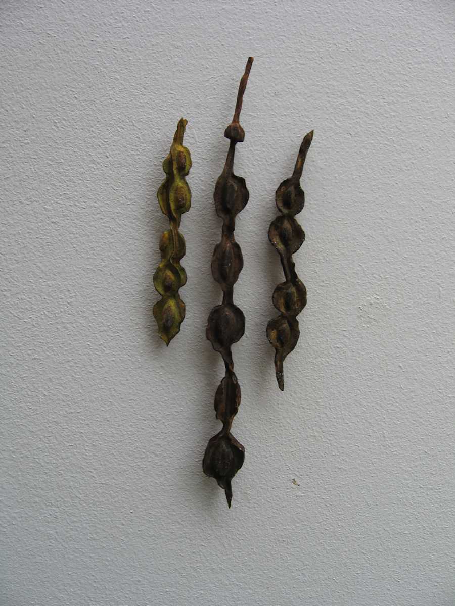 Kowhai Pods .  Pair .  (08082) by Liz McAuliffe, Image 1.