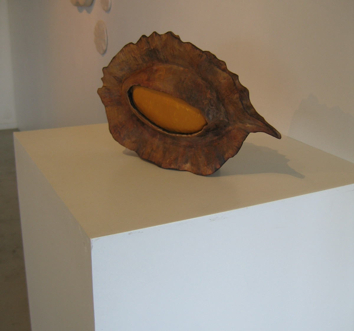 Single Kowhai Pod . (08084) by Liz McAuliffe 