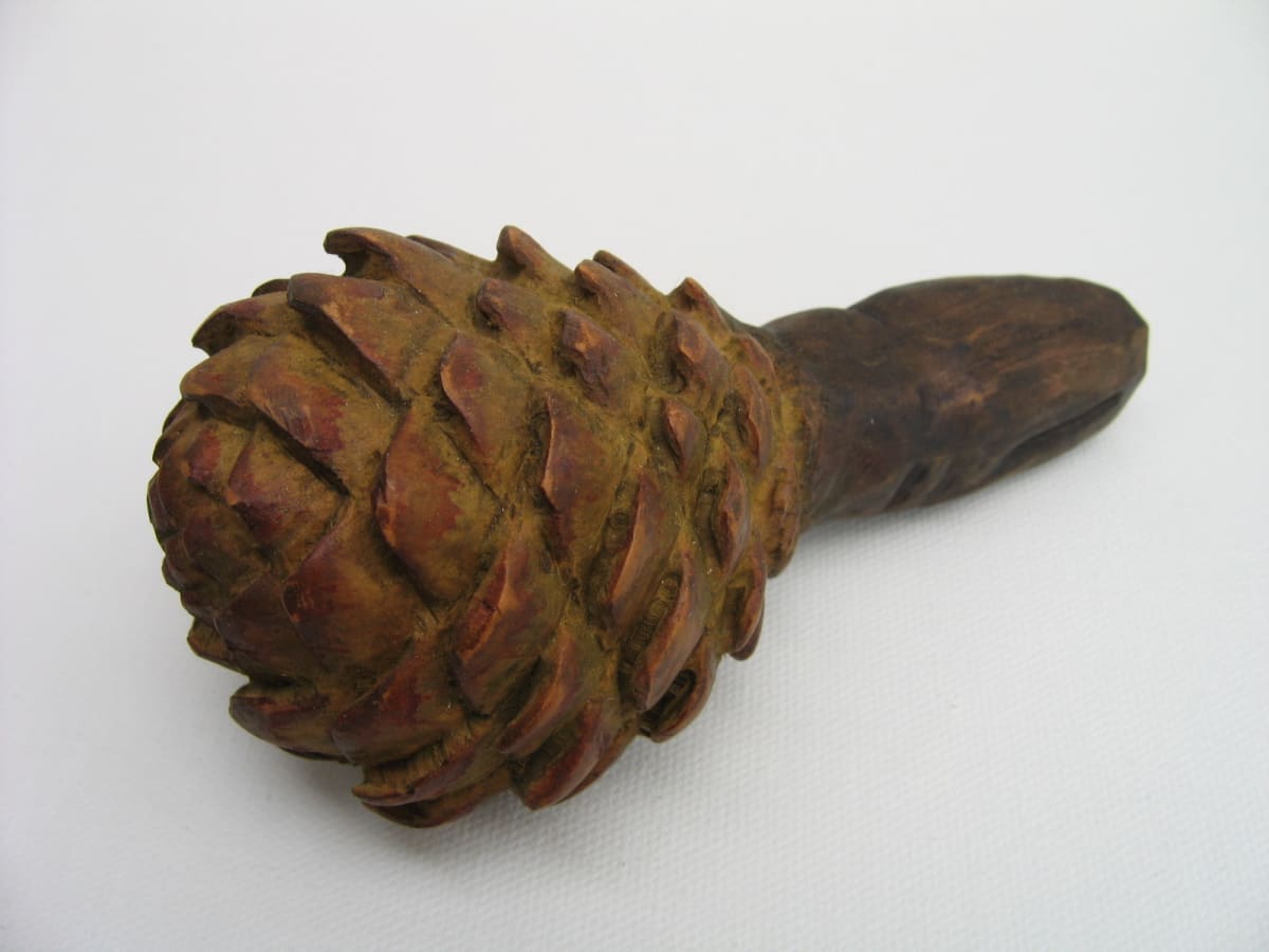 Kauri Cone . (08086) by Liz McAuliffe, Image 1.