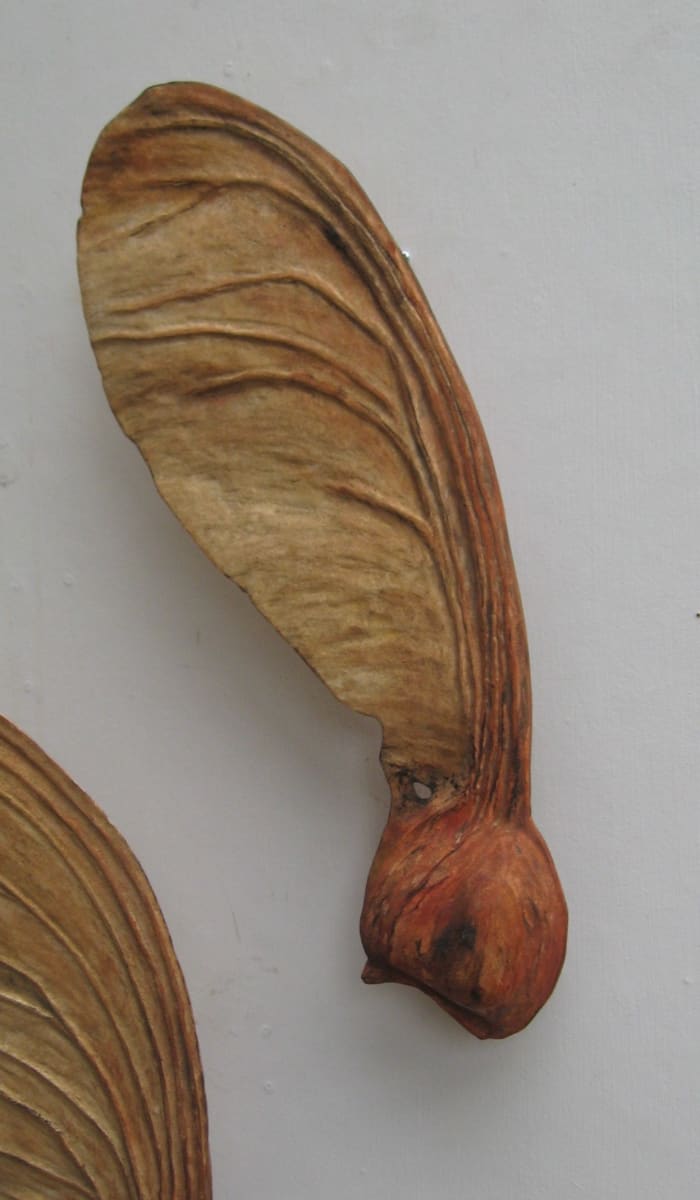 Carved Sycamore Seed . 001 by Liz McAuliffe, Image 1.