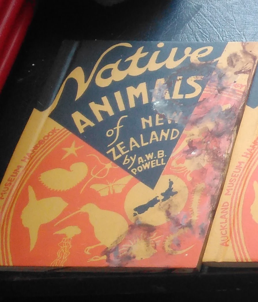 Native Animals Carved Book . 004 by Liz McAuliffe 