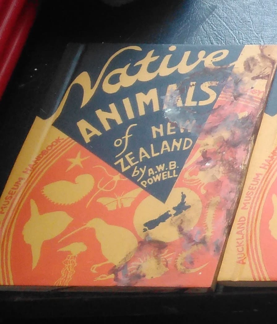 Native Animals Carved Book . 004 by Liz McAuliffe, Image 1.