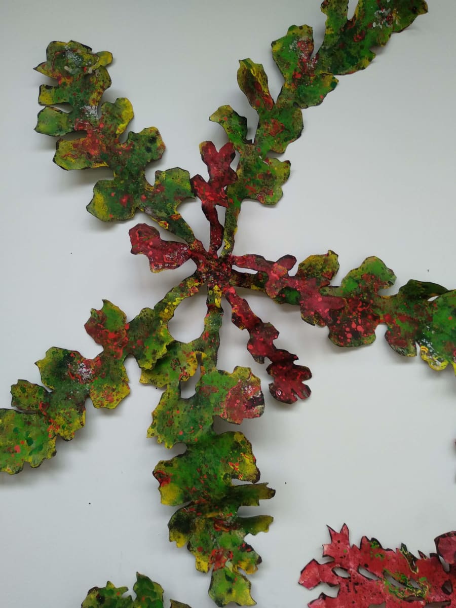 Tanekaha Leaf - XLarge . 007 by Liz McAuliffe, Image 2.