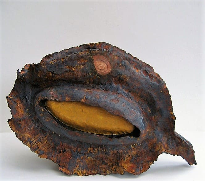 Single Kowhai Pod . 059 by Liz McAuliffe, Image 1.