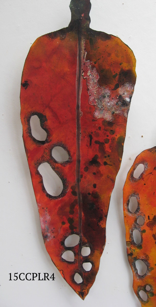 Pohutukawa Leaf . 095 by Liz McAuliffe 