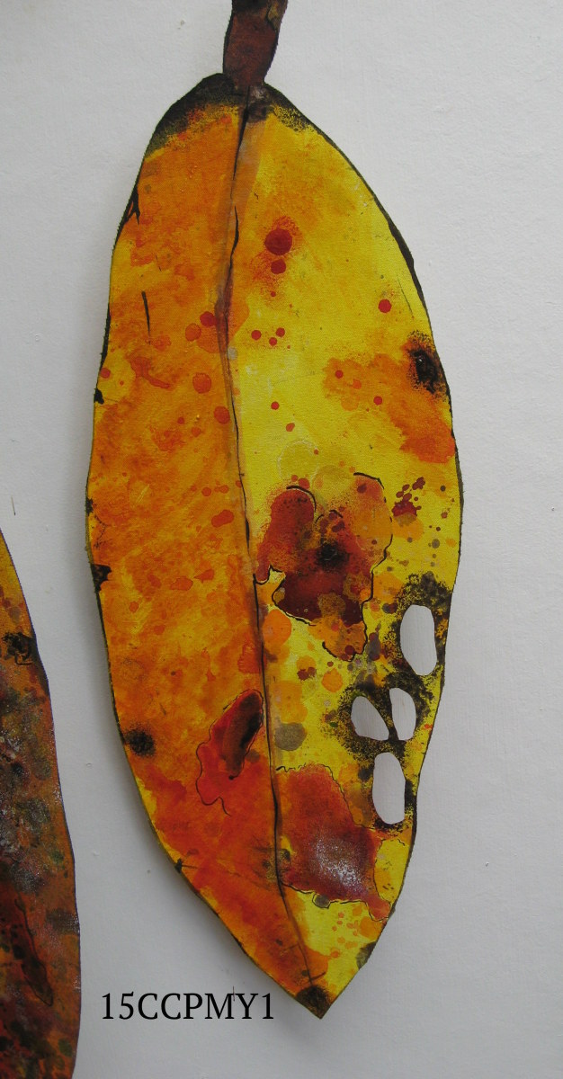 Pohutukawa Leaf . 097 by Liz McAuliffe 