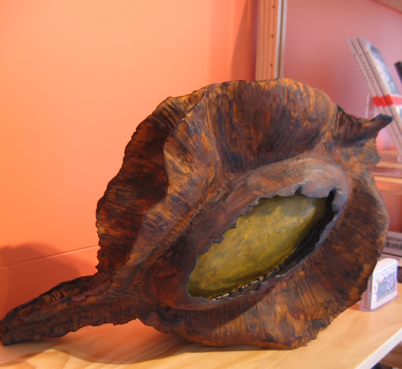 Single Kowhai Pod . 105 by Liz McAuliffe 