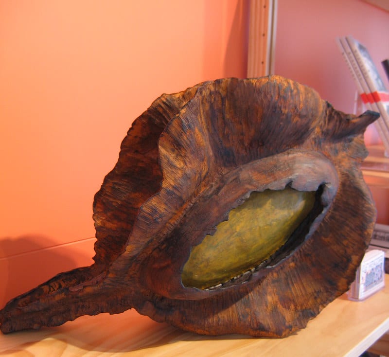 Single Kowhai Pod . 105 by Liz McAuliffe, Image 1.