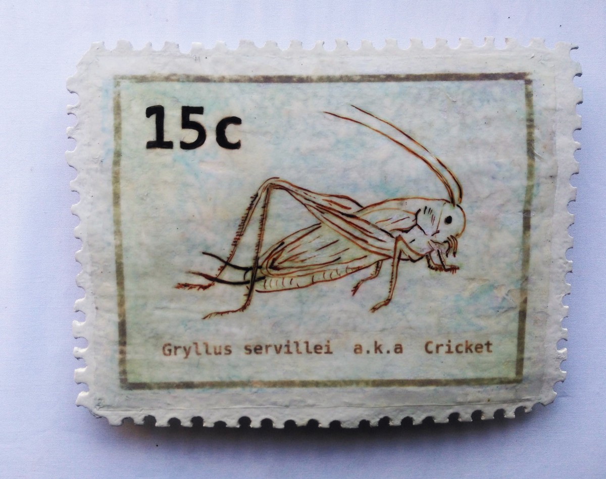 Carved Stamp . aka cricket . 111 by Liz McAuliffe 