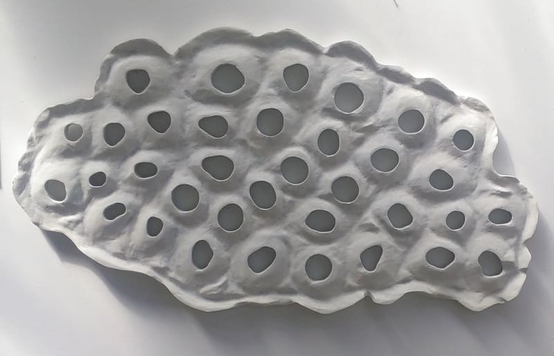 Lotus Transverse Section .. 17036 by Liz McAuliffe, Image 2.