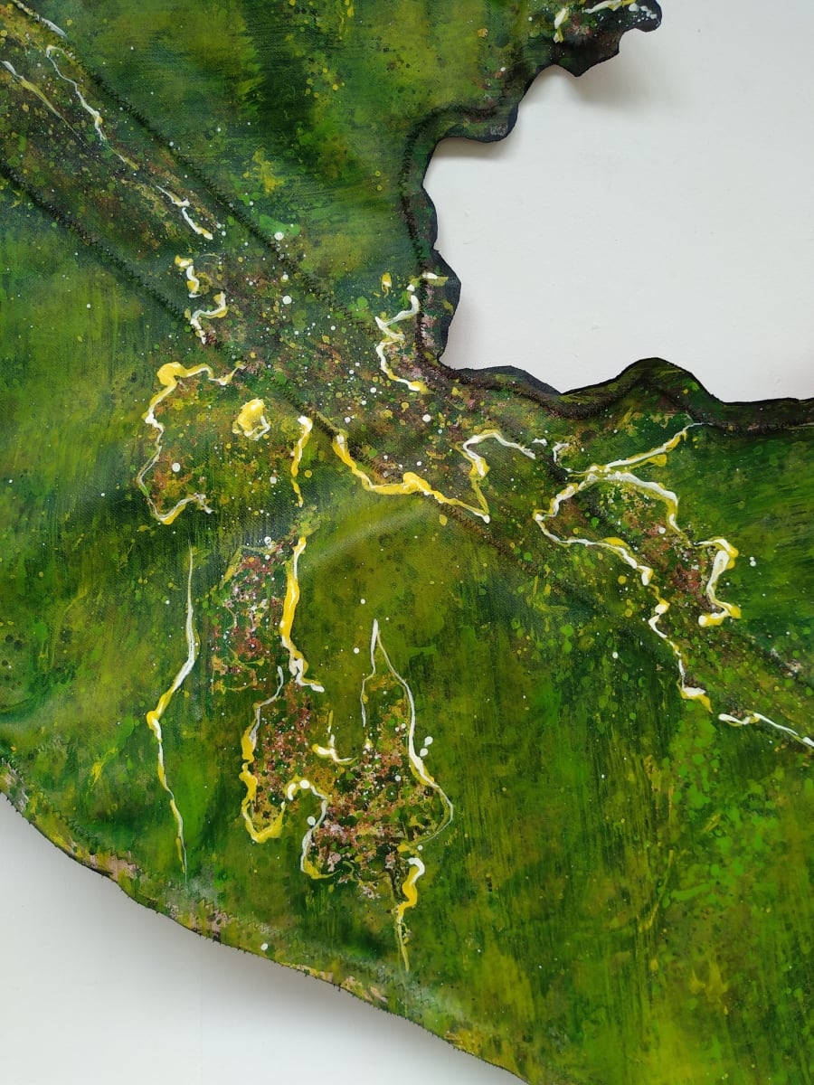 Gondwana Leaf . . (17269) by Liz McAuliffe 