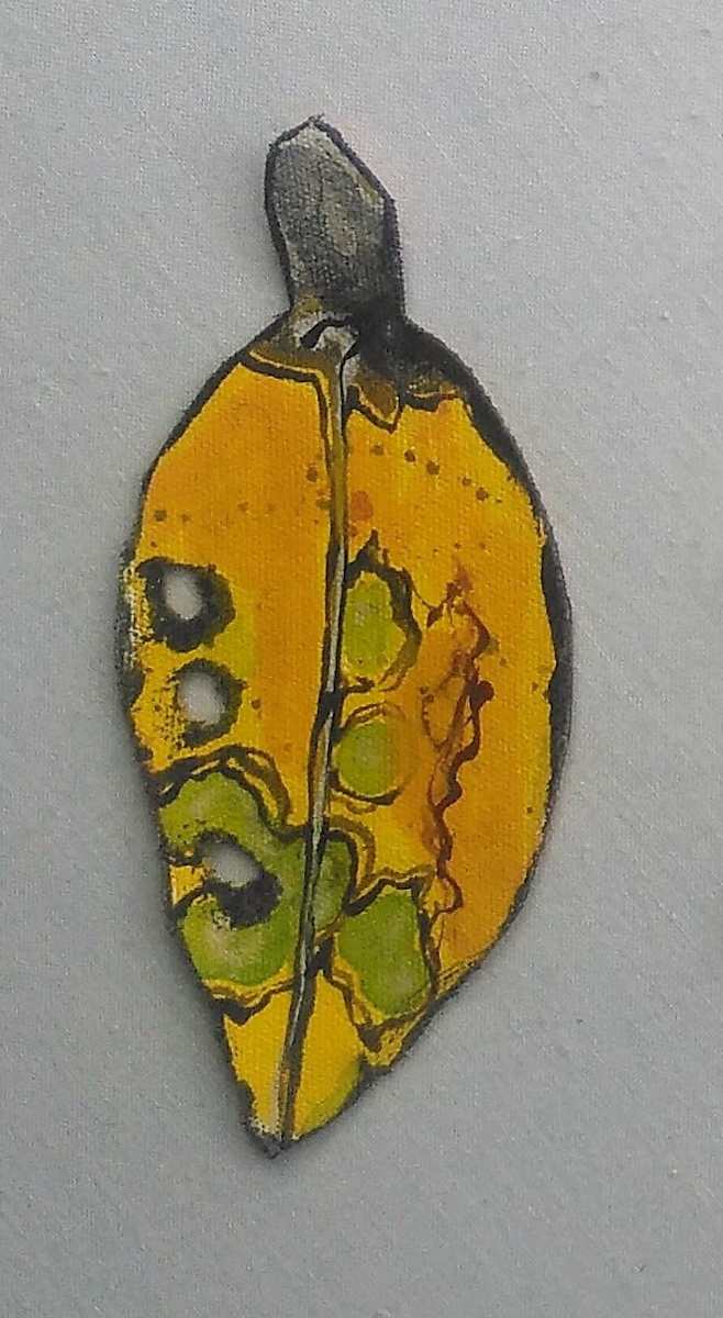 Pohutukawa Leaf . . (17407) by Liz McAuliffe, Image 1.