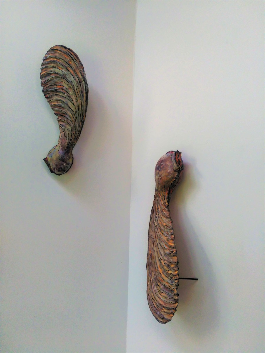 Carved Sycamore Pods (pair)  .  158 by Liz McAuliffe 