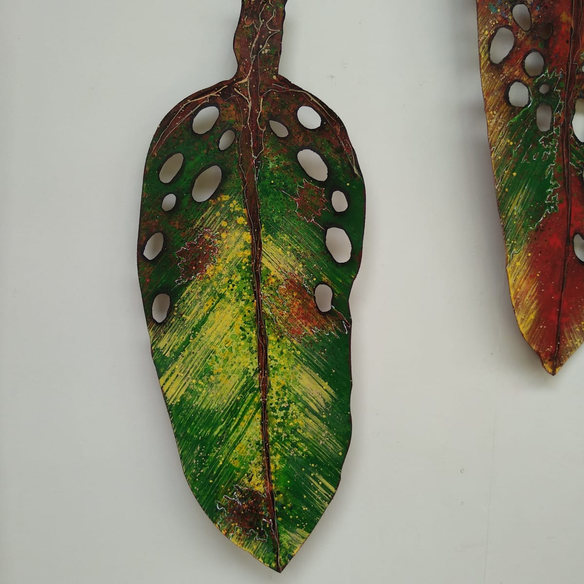 Pohutukawa Leaf . . (18501) by Liz McAuliffe, Image 3.