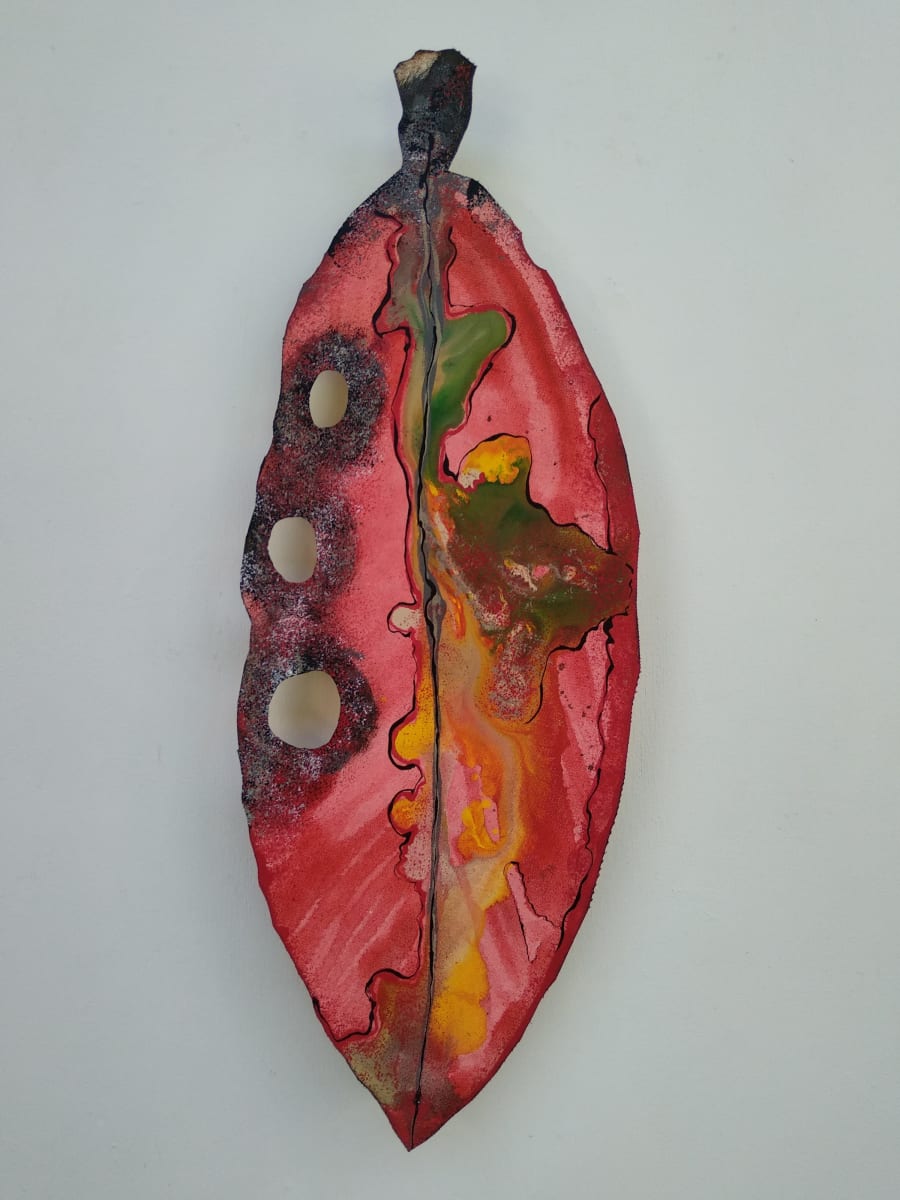 Medium Pohutukawa Leaf  . . (18549) by Liz McAuliffe 