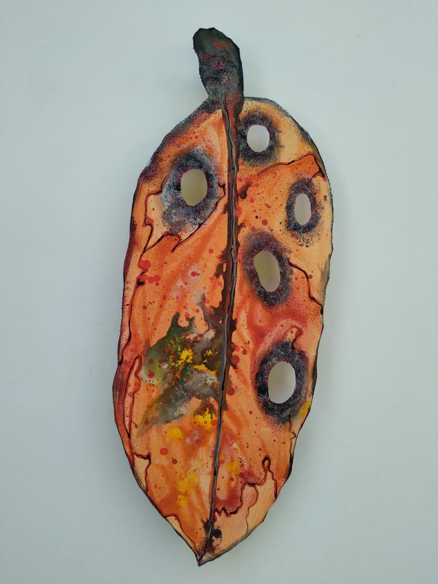Medium Pohutukawa Leaf  . . (18551) by Liz McAuliffe 