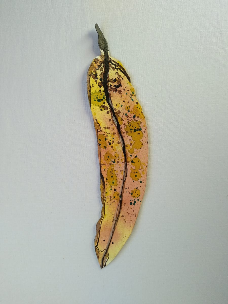 Gum Leaf - Little .. (19087) by Liz McAuliffe, Image 1.
