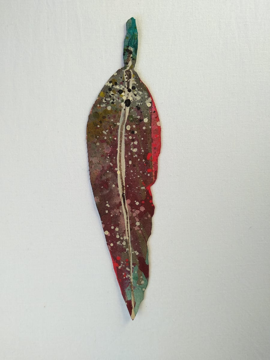 Gum Leaf - Little .. (19091) by Liz McAuliffe, Image 2.